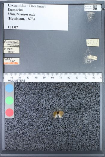 Media type: image;   Entomology 72508